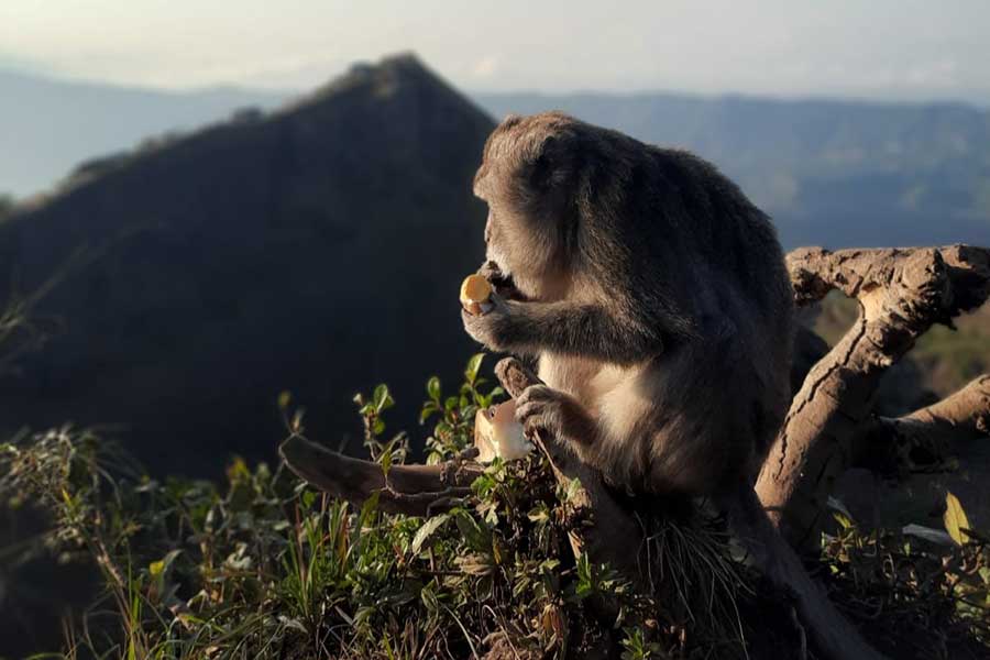Mount Batur Sunrise Trekking - Image 6