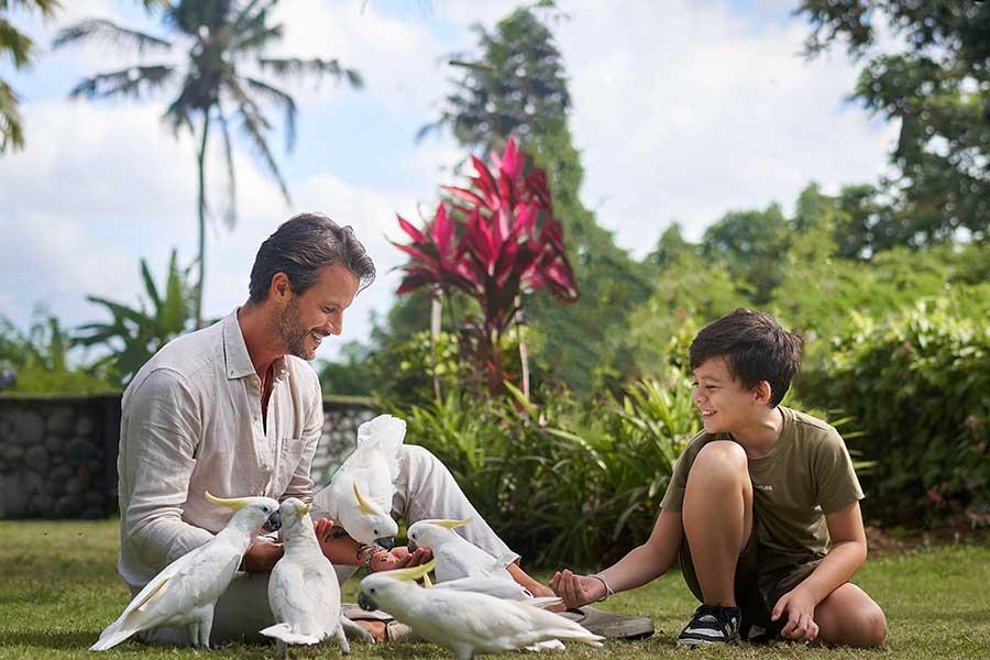 Breakfast with Orangutan Bali with Hotel Transfer
