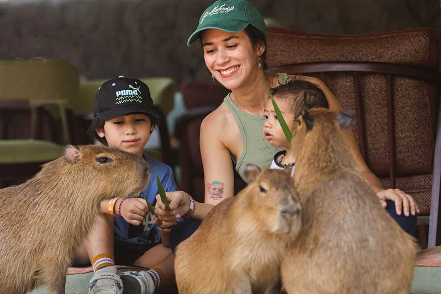 Capybara Connection - Image 2